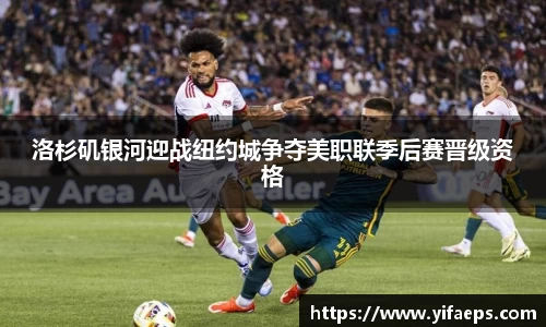 星空.综合体育官网