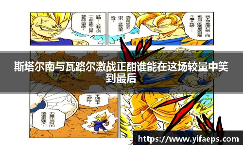 星空.综合体育官网